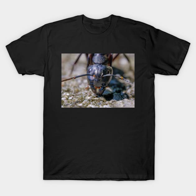 Happy Ant. Macro Photograph T-Shirt by love-fi